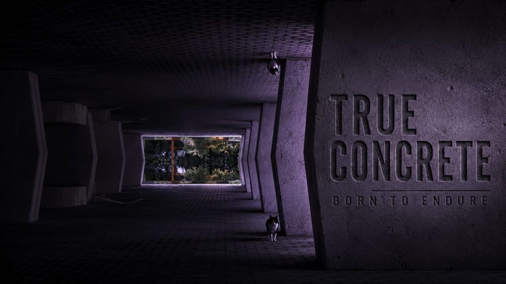 true concrete 2026 - poster